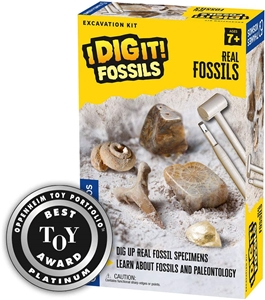 i dig dinosaurs excavation kit