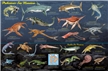 Prehistoric Sea Monsters Poster - Laminated