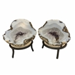 Semi-Hollow Mexican Choyas Saw Cut Geode Pair w/Stands