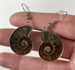 Polished Ammonite Fossil Earrings