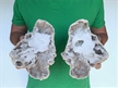 7" Saw Cut Geode Halves | Moroccan Druzy Crystals Quartz Display w/ Stands