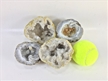 Two XL Geodes Combo Pack - Mexican Trancas | Morrocan Quartz