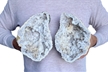 Large 8.5" Saw Cut Geode Halves | Moroccan Druzy Crystals Quartz Display w/ Stands