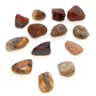 Petrified Wood - rocks for sale - buy rocks