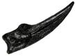 Ornithomimus sp. Hand Claw Fossilized Replica