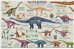 Sauropods Dinosaur  Poster - Laminated