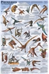 Pterosaurus Dinosaur Poster - Laminated