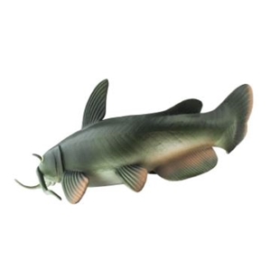 catfish toy rubber