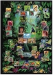 Tropical Rain Forest Poster