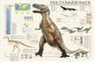 The Tyrannosaurus Poster