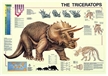The Triceratops Poster