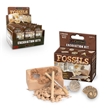 Fossils Excavation Dig Kit