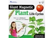 Giant Magnetic Plant Life Cycle