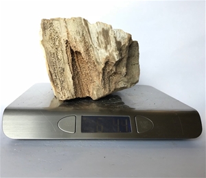 Petrified wood for sale Petrified wood for sale