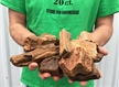 1/2 pound Piece of Texas Petrified Wood