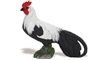 Safari Phoenix rooster Model Toy, Rooster toy, Rooster model, kids plastic Rooster  replica, wild sa