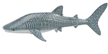 Wild Safari Sea Life Whale Shark Toy Model