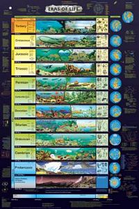 Eras of Life Poster (Laminated)