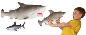 ginormous grow shark