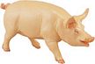 Safari Farm Classic Pig Model Toy, kids wild safari farm pig toy, pig toy, pig model, pig replica, p