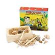 Discover Fossil Excavation Kit