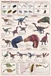 Feathered Dinosaurs Poster (Laminated)