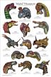 Weird Dinosaurs Poster (Laminated)