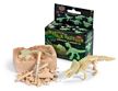Small Glow Dino Skeleton Excavation & Assembly Kit - dino dig