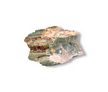 Petrified Wood - rocks for sale - buy rocks