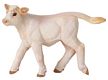 Wild Safari Farm Charolais Calf toy Model