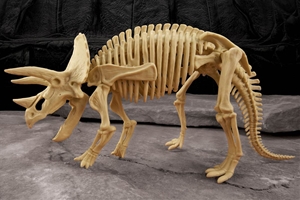 dino dig site triceratops