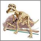 Dinosaur Skeleton Model Toys, dinosaur replicas, dinosaur toys