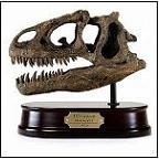 Replica Models, Dinosaur skulls, dinostoreus, dinostoreus models, dinosaur statues, dinosaur models, dinosaur skulls, dinosaur statues
