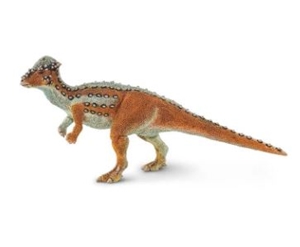 Pachycephalosaurus Safari Ltd.
