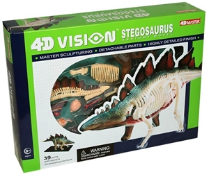 4D Vision Anatomy Model - Stegosaurus