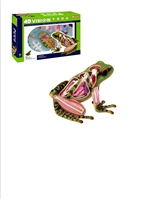 4D Vision Anatomy Model - Frog