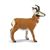 Safari Pronghorn Buck Toy Model