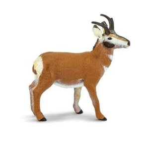Safari Pronghorn Buck Toy Model