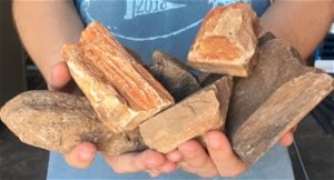 Selenite Mineral Rock - rocks for sale - buy rocks