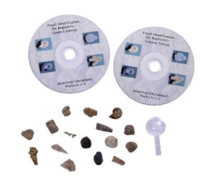 Beginners Fossil Identification Kit