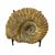 Authentic Ammonite Fossil Piece 4.75" w/ Stand