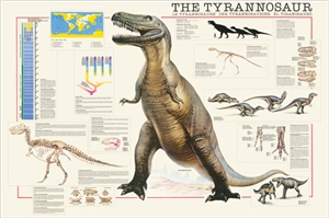 The Tyrannosaurus Poster