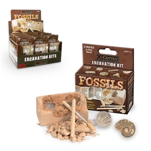 Fossils Excavation Dig Kit