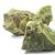 Green Opal Rough Mineral Rock - Bulk Pack (30 Pieces)