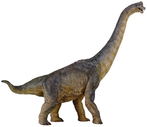Papo Brachiosaurus Dinosaur Model Toy
