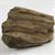 Petrified Wood Fossilized Tree Log 3.8 lbs Texas | 6.25 in. x 4 in.