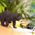 Black Bear Safari Black Bear Model 