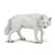 Wild Safari Wildlife White Wolf Toy Model