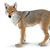 Wild Safari Wildlife Coyote Toy Model