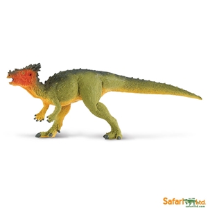 Wild Safari Dinosaur Dracorex Toy Model